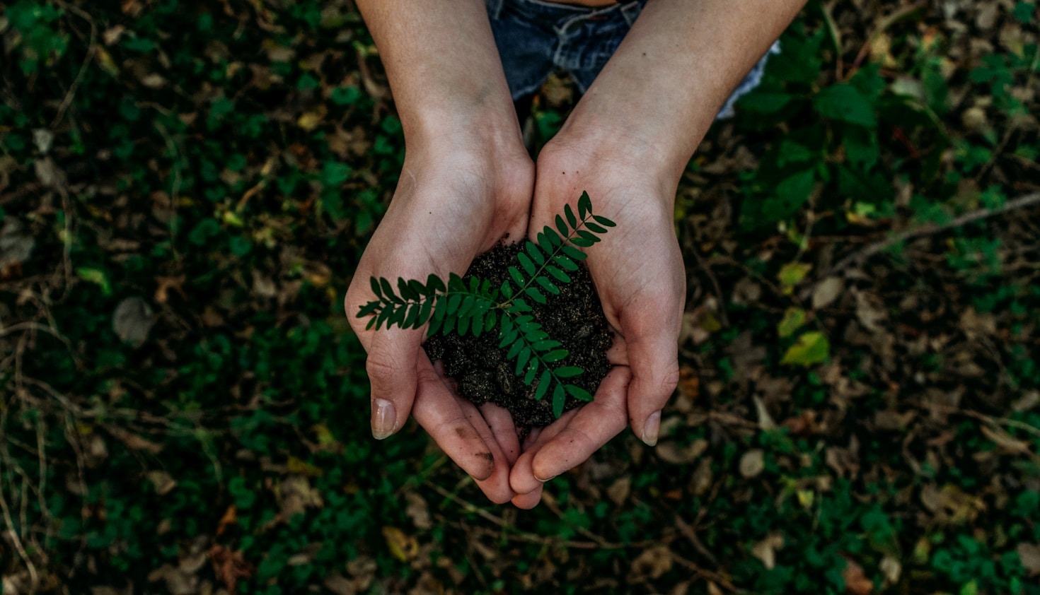 The Future Of Eco Friendly Hotel Operations