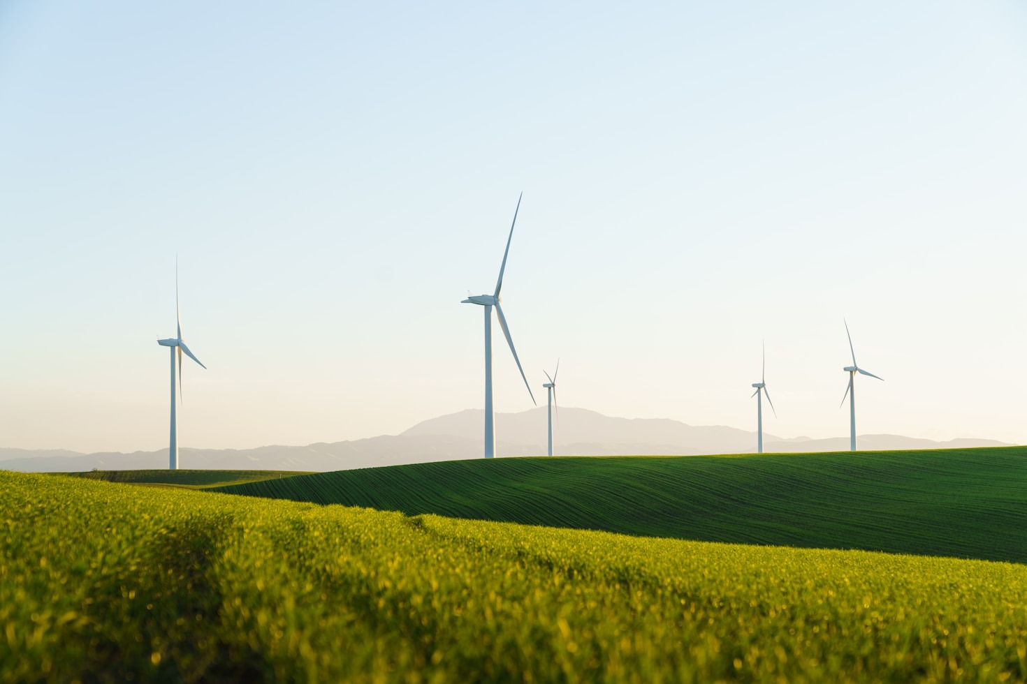 Social Responsibility As A Core Brand Value